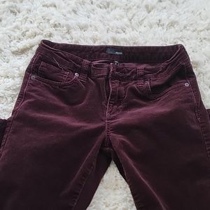 Deep purple Corduroy pants